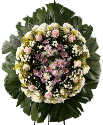 Coroa Premium