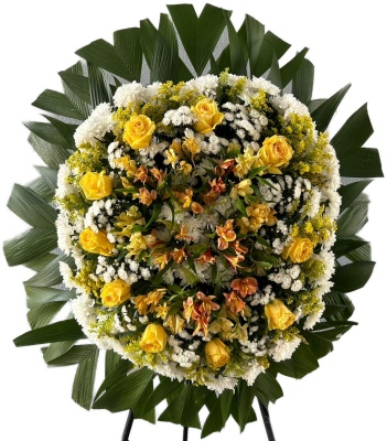 Coroas Premium 2